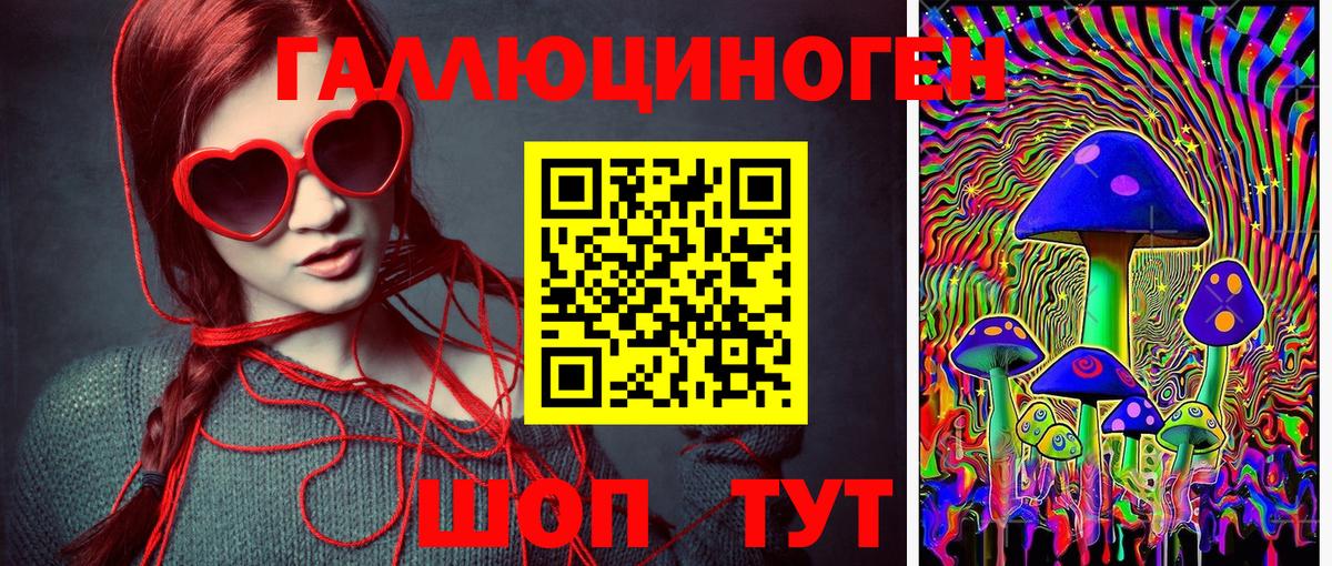Галлюциногенные грибы Cubensis  Вход с VPN  Чернушка  Галлюциногенные грибы Psilocybine cubensis 