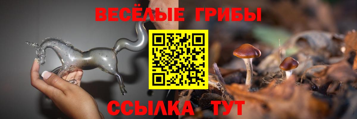 Псилоцибиновые грибы MAGIC MUSHROOMS Чернушка